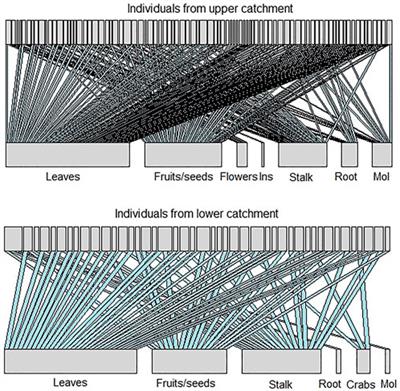 Spatiotemporal diet shifting in a neotropical fish species: The role of riparian vegetation and seasonal inundation
